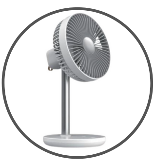 Fan